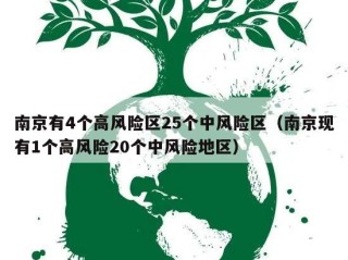 南京有4个高风险区25个中风险区（南京现有1个高风险20个中风险地区）